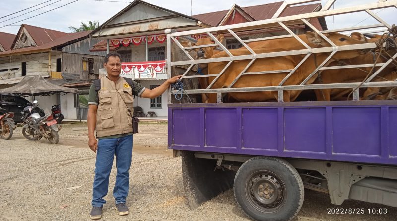 Dokumentasi Distanak Mateng